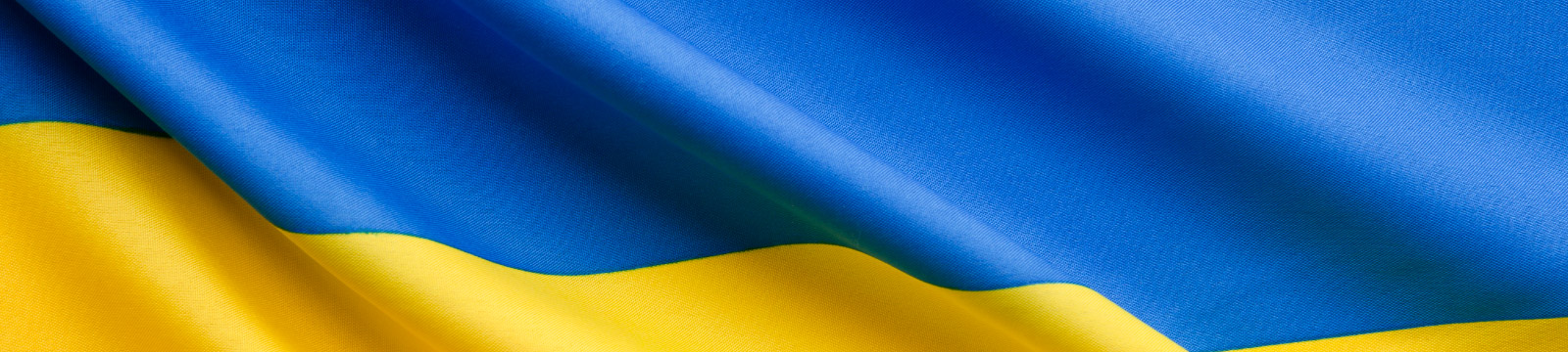 Ukraine Flag