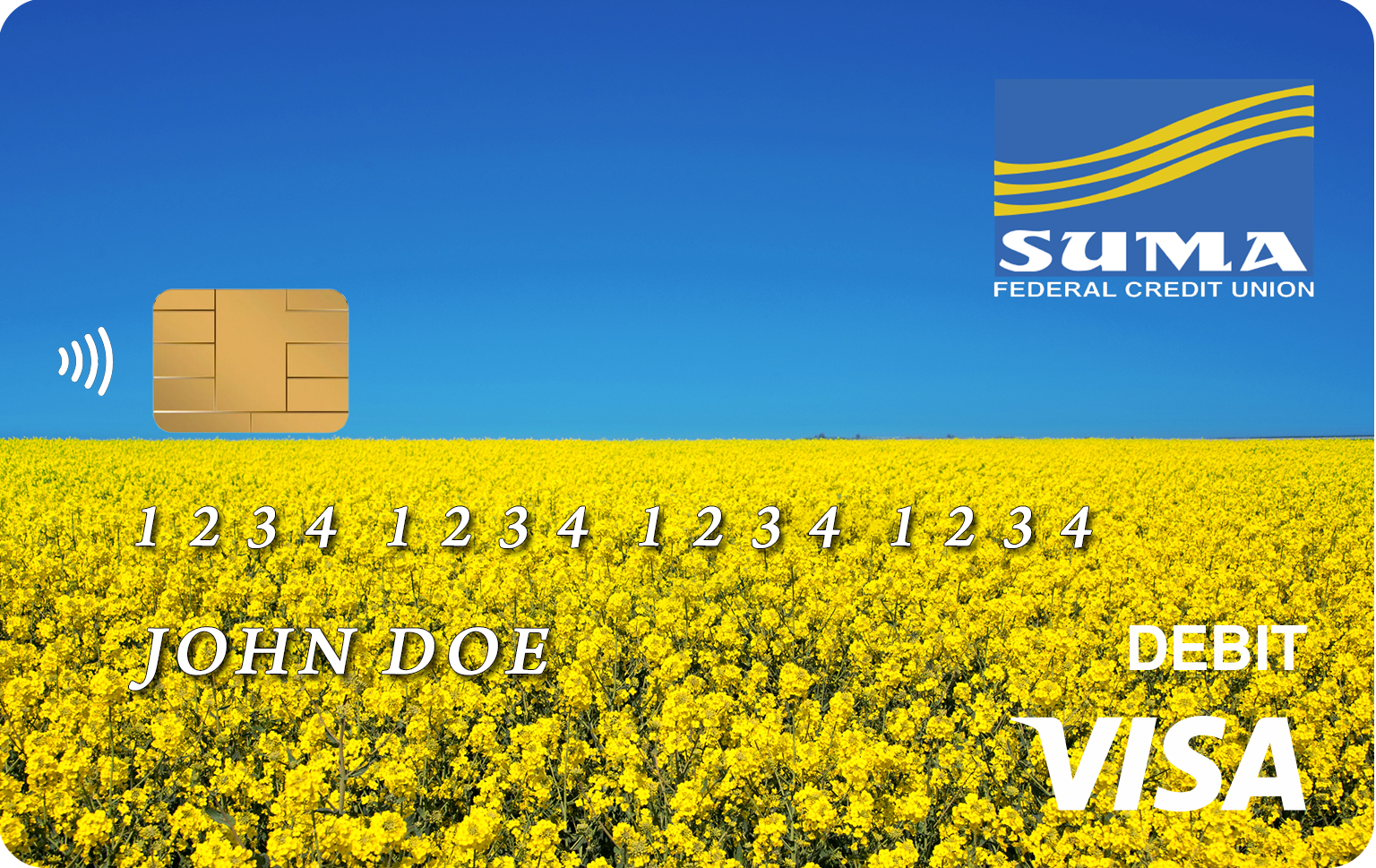 Consumer VISA Debit card image